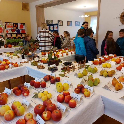 Výstava ovoce a zeleniny – Krájanka
