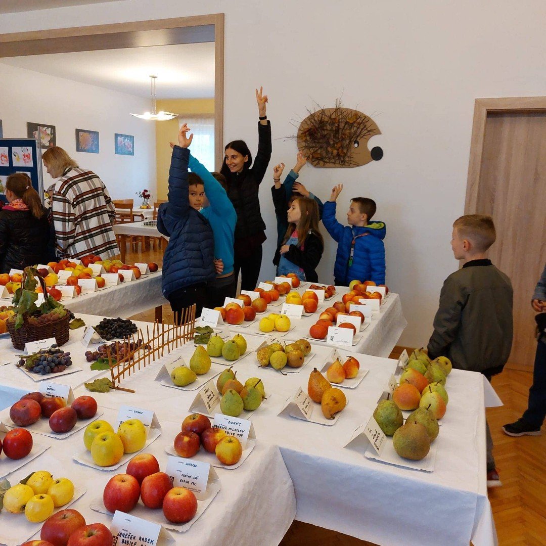Výstava ovoce a zeleniny – Krájanka